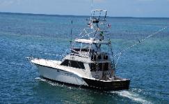 MILLER TIME SPORTFISHING